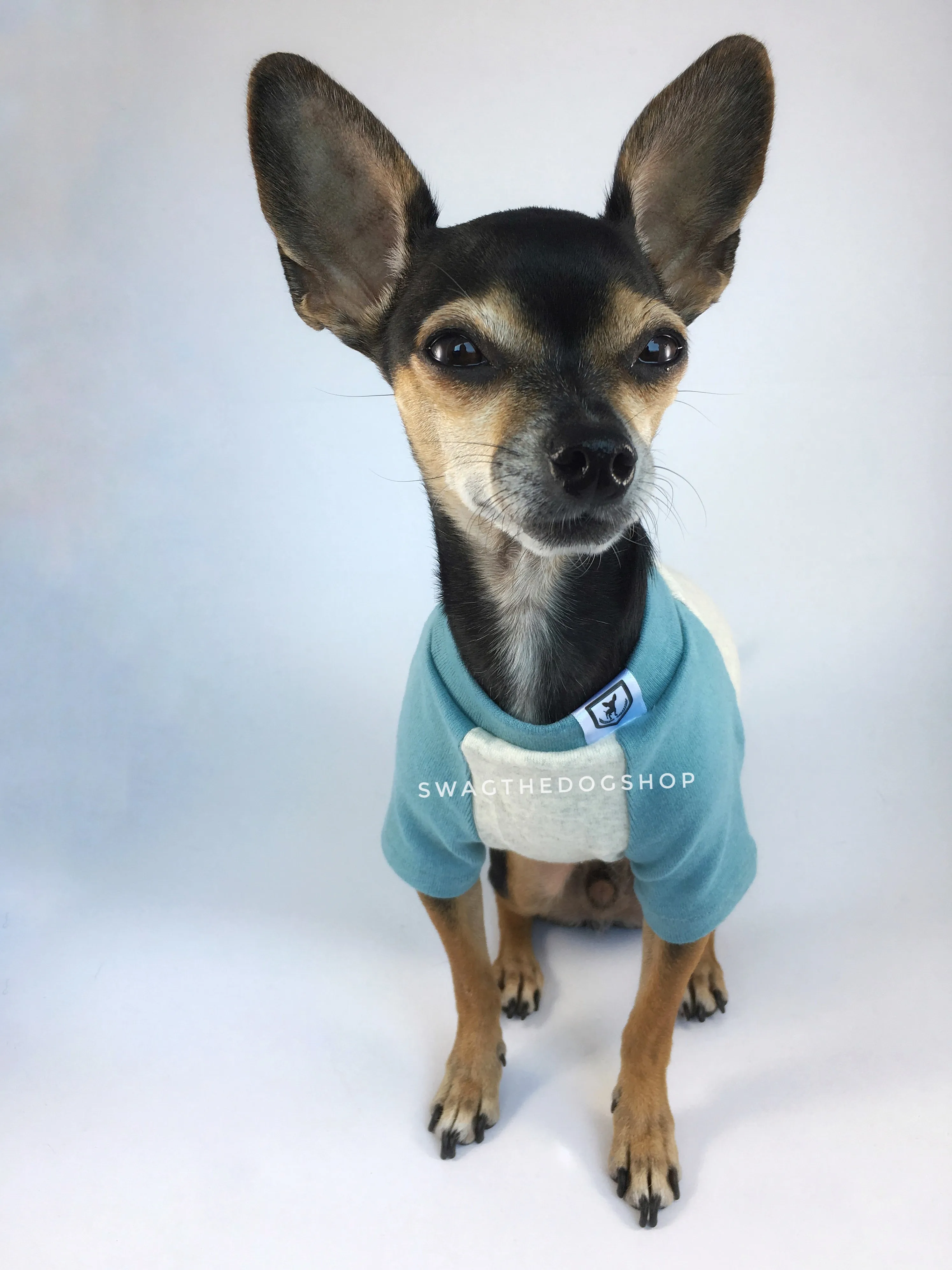 Baseball Tees - Baby Blue and Gray