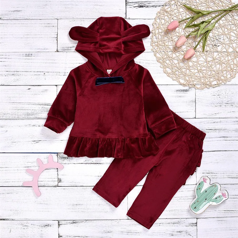 Toddler Girls Hooded Long Sleeve Top & Pants Baby Girl Wholesale